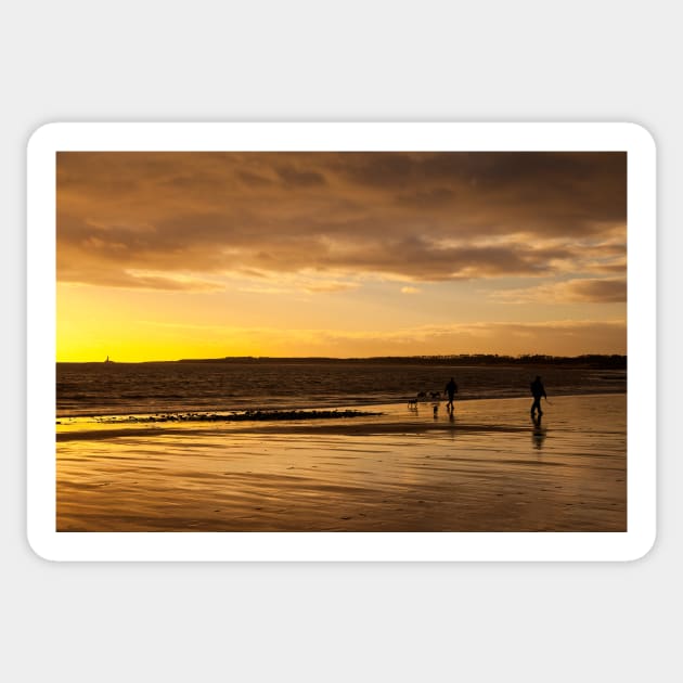 Dog walkers on the beach at sunrise Sticker by Violaman